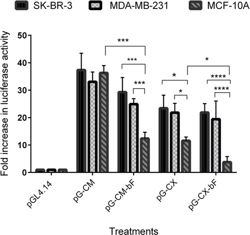 Figure 8 Luciferase activity in cell lines transfected with the PM/pG-CM, PM/pG-CM-bF, PM/pG-CX and PM/pG-CX-bF constructs and co-transfected with PM/Renilla plasmid as the internal control. PM/pGL4.14 were used as the negative control. Luciferase activity was detected by Dual-Luciferase reporter assay system (Promega). Background measurements were taken from non-transfected cells. The luminescences were background subtracted and the normalized relative luciferase activity was calculated as the relative response ratio. Changes in luciferase protein expression are represented as fold increase values. Each bar represents the average of a minimum of three independent transfections; error bars represent the standard deviation. The statistical significance was calculated using t-test and two-way ANOVA and Tukey’s test for multiple comparisons. p < 0.05 was considered statistically significant. *p < 0.05; ***p < 0.001; ****p < 0.0001.