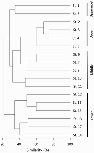 Figure 2. Dendrogram based on cluster analysis of similarity index of fish community in the sampling stations of the Dongjin River drainage system, Jeollabuk-do, Korea, 2014.