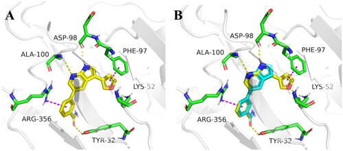 Figure 3. Molecular docking of target compounds. (A) The docking model of compound 12 with CDK8 (B) Superposition of spatial structures of compound C43 and 12 within active site of CDK8 (PDB: 5IDN). CDK8 is shown in gray ribbons with selected residues coloured green. Hydrogen bonds are drawn as yellow dashed lines, and pi-pi stacking is drawn as magenta dashed lines. Compound 12 is shown with yellow stick and compound C43 is shown with blue stick. The illustration was generated using PyMOL.