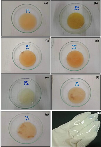 Figure 2. Images of BCs produced by (a) HS medium, (b) BB medium, (c) PP medium, (d) BP medium, (e) +BB medium, (f) +PP medium, (g) + BP and (h) after treatment in NaOH.