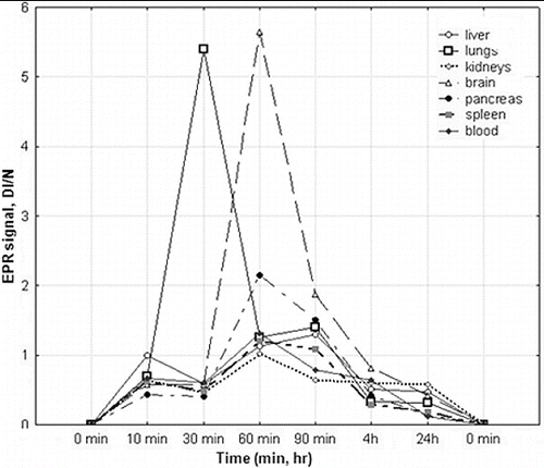 Figure 3. Tissue distribution of SLENU in organ homogenates (liver, spleen, lung, kidneys, pancreas, brain) and blood of albino non-inbred mice after i.p. administration. EPR measurements were performed on four groups of mice/ three animals. The SE associated with 6% of the presented values.