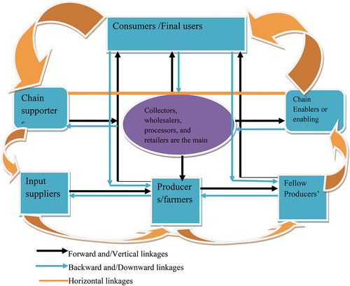 Figure 15. Actors’ linkage in Garlic value chain.Source: Own Sketch 2021.