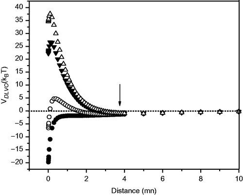 Figure 4. DMPC liposomes with Asc16. DLVO potential (VDLVO) vs. distance with considering the counterions’ hydration. Liposome compositions were as follows: DMPC + Asc16 30% (Δ), DMPC + Asc16 20% (▾), DMPC + Asc16 10% (○), and pure DMPC (•). The arrow indicates the secondary minimum.