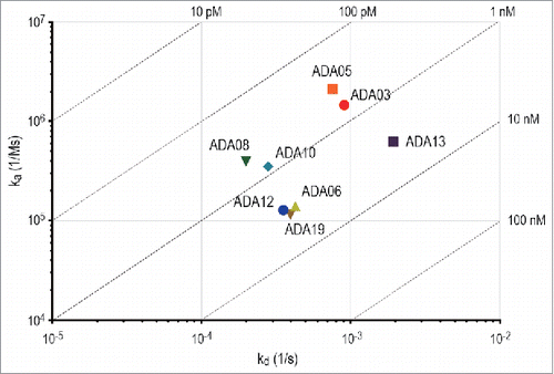 Figure 2. On-off rate map indicating the binding kinetics parameters of anti-rituximab mAbs analyzed by BLI assay. The association rate constant (ka) is plotted against the dissociation rate constant (kd). The diagonal lines indicate the equilibrium dissociation constant (KD).