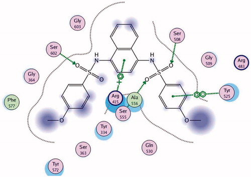 Figure 2. Interaction map of the native ligand in the Kelch domain of Keap 1 (PDB ID: 41QK).