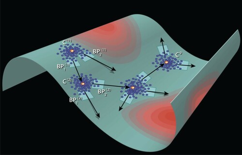 Figure 3. Schematic illustration of iMapD. The curved teal sheet is a cartoon representation of a low-dimensional manifold residing within the high-dimensional coordinate space of the molecular system (black background) and to which the system dynamics are effectively restrained. This manifold supports the low-dimensional molecular free energy surface of system (red contours denote potential wells). The dimensionality of the manifold, good collective variables with which to parameterise it, and topography of the free energy surface are a priori unknown. iMapD commences by running short unbiased simulations to perform local exploration of the underlying manifold and which define an initial cloud of points C(1). Boundary points are identified, here BP1(1) and BP2(1), and local PCA applied to define a locally-linear approximation to the manifold geometry that is locally valid in the vicinity of each point. An outward step is then taken within these linear subspaces, here from BP1(1) to expand the exploration frontier. The projected point may lie off the manifold due to the linear approximation inherent in the outward projection and so a short ‘lifting’ operation is employed to relax it back to the manifold. This point then seeds a new unbiased simulation that generates a new cloud of points C(2) and the process is repeated until the manifold is fully explored. In this manner iMapD explores the manifold by ‘walking on clouds’. Image adapted with permission from Ref. [Citation63].