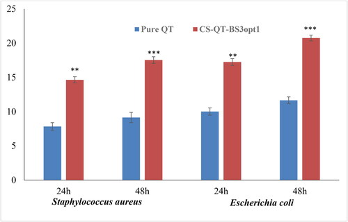 Figure 12. Antimicrobial evaluation of pure QT and CS-QT-BS3opt1 against S. aureus (Gram-positive) and E. coli (Gram-negative) in 24 and 48 h in the terms of zone of inhibition (ZOI). The values are expressed as mean ± SD, n = 3, ** and *** indicating that CS-QT-BS3opt1is significantly different at p < .01 and p < .001, respectively from pure QT.