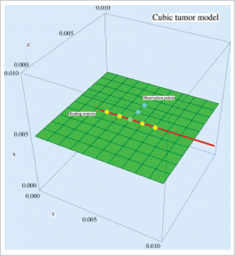 Figure 1. Cubic tissue model with a needle inserted inside.