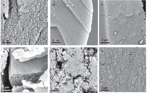 Figure 3. SEM images of DFF aerogels with a) phloroglucinol, b) resorcinol and c) catechol, and of F aerogels with d) phloroglucinol, e) resorcinol and f) catechol