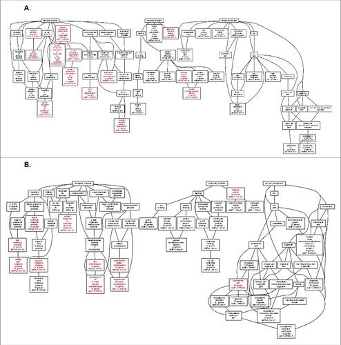 Figure 6. Go Term analysis of the top 200 positively correlated ERRLR01 genes via spearman rank analysis of the Affymetrix dataset (HGU133). (A) Analysis was performed in Basal-like breast tumors(n = 577), given ERRLR01 expression is high/detectable within those samples. Analysis indicated ERRLR01 levels correlated with “Central Nervous System Development,” “Stem Cell Differentiation,” “Protein Dimerization Activity,” and “Positive Regulation of Cell Proliferation.” (B) Go Term Analysis of the top 200 negatively correlated ERRLR01 genes via spearman rank analysis. Red Boxes highlight significant pathways and Black Boxes are highlighted as non-significant pathways.