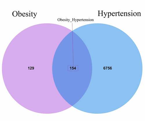 Figure 1. A Venn diagram showed all pathological genes both in obesity and hypertension, and total 154 interaction genes were identified accordingly