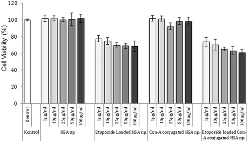 Figure 7. Cytotoxicity of different formulation of HSA nanoparticles (n = 3). The nanoparticles were incubated with MCF-7 cells for 24 h. After incubation, cell viability was measured by MTT assay. Data are expressed as percent of control mean ± SD of three independent experiments.