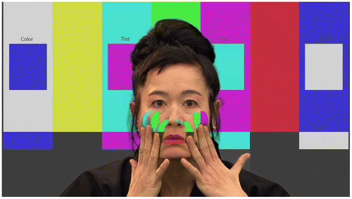 Figure 1. Still from Hito Steyerl, How Not to Be Seen: A Fucking Didactic Educational.MOV File, single-screen video, 2013. Images CC 4.0 Hito Steyerl. Images courtesy of the Artist and Andrew Kreps Gallery, New York.