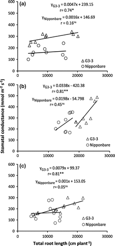 Figure 4. Relationship between total root length and stomatal conductance of Nipponbare and NIL, G3-3 under continuous cycles of alternate waterlogging and drought (CAW-D) in 2012 (a), 2013 (b), and 2014 (c).