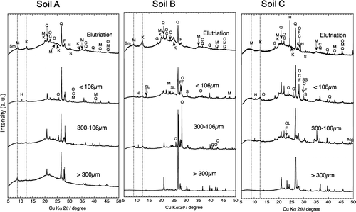 Figure 4. XRD patterns of the elutriated fraction (WE), the settled fraction less than 106 μm, the fraction between 106 μm and 300 μm, and the fraction larger than 300 μm of the soils A, B, and C after the treatment of 1 mole L−1 NH4Cl solution and 1 mole L−1 CH3COOH solution. Sm: smectite-like clay minerals, M: mica-like minerals, H: hornblende-like minerals, K: kaolinite-like minerals, Q: quartz, O: orthoclose, C: cristobalite, F: feldspar group, S: stishovite (SiO2), G: gibbsite-like minerals, SL: sodalite-like minerals, OL: olivine, SS: sorosilicate.