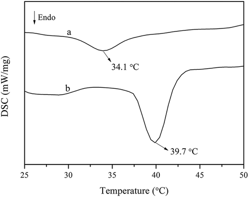 Figure 5. DSC thermograms of FC (a) and CC (b) solutions.