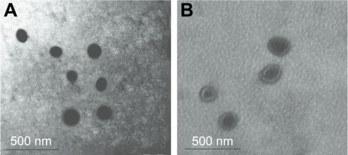 Figure 6 TEM images of (A) bare doxorubicin-poly (lactic-co-glycolic acid) nano-particles and (B) core–shell particles with (chitosan/alginate)3.Abbreviation: TEM, transmission electron microscopy.
