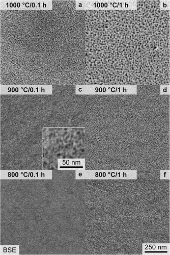 Figure 4. SEM-BSE micrographs with primarily Z contrast taken within a single grain after heat treatment of: (a) 1000°C/0.1 h; (b) 1000°C/1 h; (c) 900°C/0.1 h, with higher magnification inset; (d) 900°C/1 h; (e) 800°C/0.1 h; (f) 800°C/1 h. The same magnification is used for all micrographs, except the inset in (c).