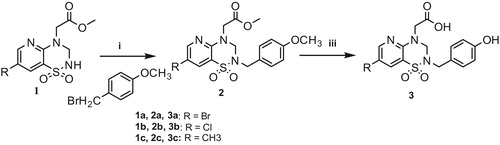 Scheme 1. Reagents and conditions: (i) K2CO3, (ii) CH3CN, 70 °C; (iii) BBr3, CH2Cl2, 0 °C.