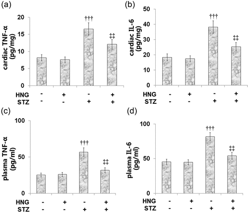 Figure 5. S14G-humanin ameliorated the inflammation-related genes induced by STZ in diabetic mice. (a). Cardiac TNF-α Level; (b). Cardiac IL-6 Level; (c). Plasma TNF-α Level; (d). Plasma IL-6 Level (†††, P < 0.005 vs. vehicle group; ‡‡, P < 0.01 vs. STZ group)