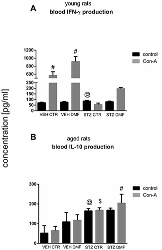 Figure 7 Concanavalin (Con) A-stimulated peripheral blood mononuclear cell (PBMC) production of interferon (IFN)-γ in young rats (A) and interleukin (IL)-10 in aged rats (B) subjected to dimethyl fumarate (DMF) or control therapy (CTR) initiated on day 0 (0.4% DMF or standard rat chow) and intracerebroventricular injection of streptozotocin (STZ) or vehicle (VEH) on days 2 and 4.