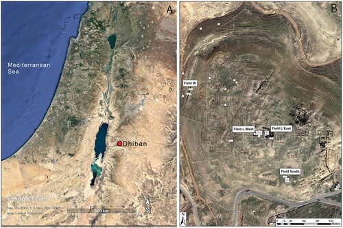 Figure 1. A) The geographic region surrounding the archaeological site of Dhiban, with site location marked. B) The archaeological site of Dhiban. Excavation units (5 × 5 m) are outlined in white, and adjacent labels name each excavation area. The topographic lines are at an interval of 15 m.
