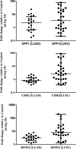 Figure 3 The expression of transcripts of SPP1, CDH2, and RIMS2 in NSCLC stage IIIA samples. β-Actin gene was used as the internal control. Data shown are the mean ± SEM of three independent experiments for each sample.