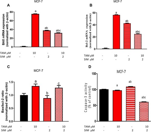 Figure 3 Effect of treatment of TAM, SIM, and their combinations of mRNA expression of Bax, bcl-2, Bax/bcl-2 ratio, and caspase 3 activity in MCF-7 cells. Bax expression (A), bcl-2 expression (B), Bax/bcl-2 ratio (C), Caspase 3 activity (D). Results are expressed as means±SD of two independent experiments performed in duplicate. Statistical significance of results was analyzed using one-way ANOVA followed by Tukey’s multiple comparison test. (a) Significantly different from the control group, (b) significantly different from TAM, and (c) significantly different from SIM at P˂0.05.