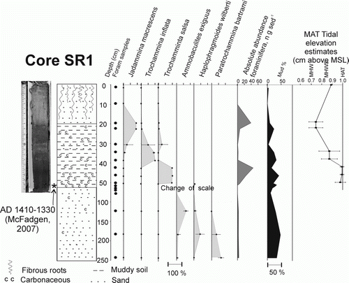 Figure 4  Relative abundance (and 95% confidence limits) of common foraminiferal species, absolute abundance of foraminifera and mud% in Shag River estuary core, SR1. Also shown is a photo of the upper 55 cm of the core (left) and MAT estimates of the tidal elevation at which the foraminiferal faunas accumulated (right). Note the change of scale at 50 cm downcore.