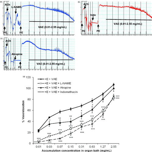 Figure 3. Original isometric force recordings showing influence of L-NAME (a), indomethacin (b), and atropine (c) on the vasorelaxant effect of VAE in endothelium-intact aortic rings. Effect of VAE on PE-induced contraction in endothelium-intact aortic rings (n = 8) in the presence of L-NAME, indomethacin, and atropine (d). *, **, and *** indicate significance at p < 0.05, p < 0.01, and p < 0.001, respectively, compared to the group of endothelium-intact aortic rings.