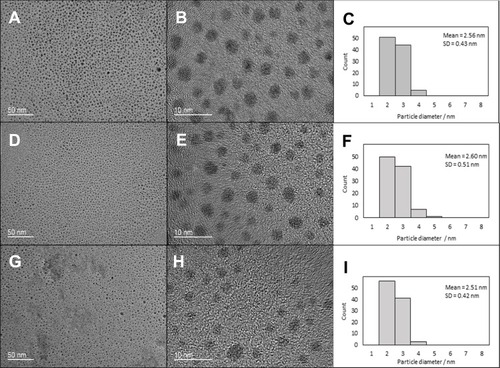 Figure 2 Typical TEM images of PEG-AgNPs and corresponding size distribution. (A, B) TEM images of freshly prepared PEG-AgNPs in water; (C) size distribution of freshly prepared PEG-AgNPs in water; (D, E) TEM images of freshly prepared PEG-AgNPs in 2.5% NaF; (F) size distribution of freshly prepared PEG-AgNPs in 2.5% NaF; (G, H) TEM images of PEG-AgNPs in 2.5% NaF for 18 months; (I) size distribution of PEG-AgNPs in 2.5% NaF for 18 months).