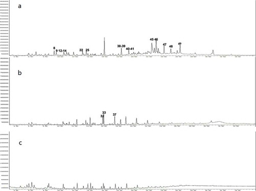 Figure 4. The total ion chromatograms of MR (a), SP (b) and WSP (c).