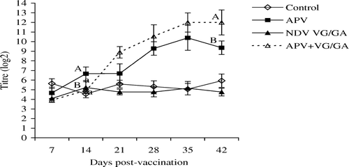 Figure 2.  APV ELISA antibodies in the unvaccinated control, APV, VG/GA or dual-vaccinate APV + VG/GA groups of chickens measured using APV subtype B-coated ELISA plates. Different superscripts between groups indicate that the values differ significantly (P < 0.05). Bar = standard deviation.