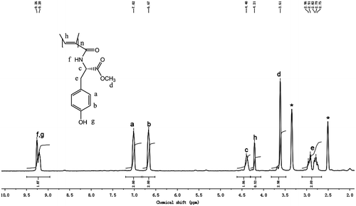 Figure 5. 1H NMR spectra in DMSO-d6 of poly(N-propioloyl-l-tyrosine methyl ester). The resonance peaks of the residual nondeuterated solvents are marked with asterisks.
