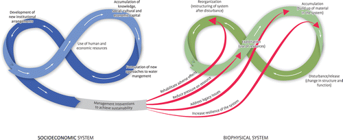 Figure 5. Management intervention pathways to achieve sustainability.