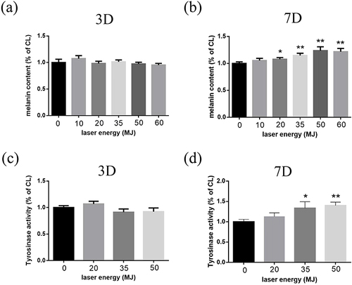 Figure 3 (a and b) The effect of carbon dioxide laser on the melanin content of human melanocytes. (c and d) The effect of carbon dioxide laser on the tyrosinase activity of human melanocytes. The data is expressed as a percentage of CL cells, which is set to 100%. *P < 0.05, **P < 0.01.