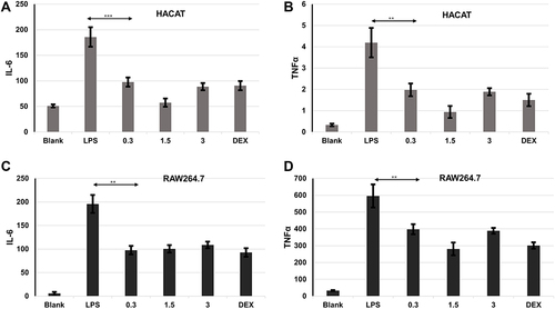 Figure 2 ALOE suppressed inflammatory cytokine expression. Effect of ALOE on the production of IL-6 (A) and TNF-α (B) in lipopolysaccharides (LPS)-induced HaCaT model. Effect of ALOE (0.3, 1.5, 3 mg/mL) on the production of IL-6 (C) and TNF-α (D) in lipopolysaccharides (LPS)-induced RAW264.7 model. Blank, no treatment as control groups; LPS, treatment with LPS (final concentration was 10μg/mL) as model groups; ***p < 0.001, **p < 0.01 compared to the model (LPS) group. These data were presented as means ± SD.