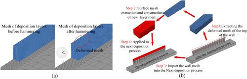 Figure 11. ‘Surface mesh extraction and reconstruction’ technology, (a) Deformed mesh of deposition layer after hammering, (b) ‘Surface mesh extraction and reconstruction’ technology schematic diagram.