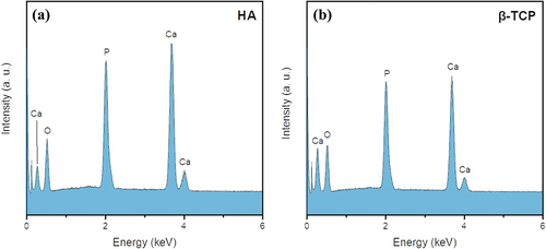 Figure 5. EDX spectra of (a) HA and (b) β-TCP powders synthesized at 1200 and 800°C, respectively.