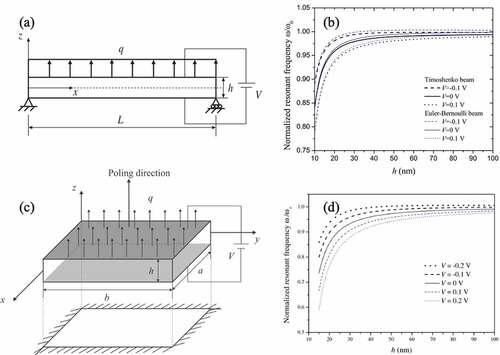Figure 3. Size-dependent vibrations of piezoelectric nanostructures due to the gradient effect [Citation55,Citation56]. The italic V is the applied voltage and the Roman V is the unit of voltage, namely volt. ω and ω0 represent the resonance frequencies of piezoelectric nanostructures with and without flexoelectricity, respectively. (a) schematic of a simply-supported PNB under electric and mechanical loads; (b) variation of the normalized resonance frequency of the PNB versus beam thickness for different external electric loads; (c) schematic of a clamped PNP under electric and mechanical loads; (d) variation of the normalized resonance frequency of the PNP versus plate thickness for different external electric loads. Decreasing the thicknesses of PNB and PNP dramatically lowers the resonance frequencies of piezoelectric nanostructures no matter how large the applied voltage is and what the structural models are employed. (Reproduced with permission from Yan and Jiang [Citation55]. Copyright 2013 by IOP Publishing, and reproduced with permission from Zhang et al. [Citation56]. Copyright 2014 by American Institute of Physics AIP).