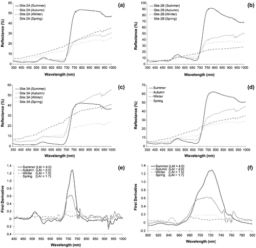 Figure 3. Multi-seasonal mean reflectance spectra for sampling plots (a): Site 2A, (b): Site 2B, (c): Site 3A, and (d): All sampling plots. First derivative curves of Phragmites over two wavelength regions (e): 400–1000 nm and (f): 600–800 nm.