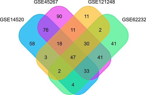 Figure 1 Venn diagram analysis of DEGs in different GEO datasets. Individual studies are indicated in different colors. The overlapping parts indicate DEGs common to different GSE datasets. Together, 47 DEGs were screened from four studies.