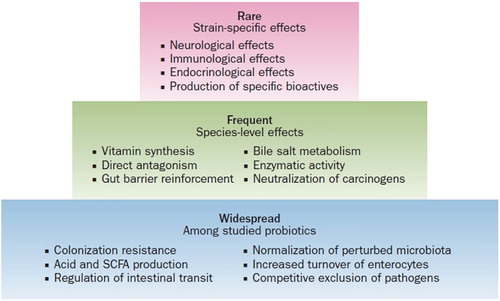 Figure 1. A hierarchy of probiotic effects. (from Hill et al. Citation2014 with permission).