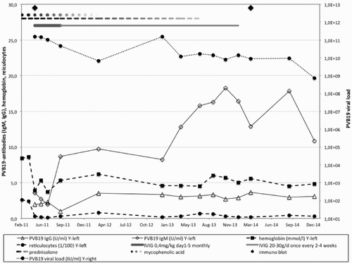 Figure 2 Correlation of PVB19 diagnostic parameters (PVB19 viral load, lgG/lgM immunoblot) with anemia laboratory values (reticulocytes, hemoglobin) over time during treatment (prednisolone, MMF, IVIG)