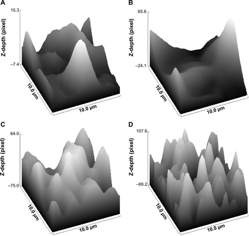 Figure 5 Plots and Rsk values for various surfaces.Notes: (A) Rsk =1.4, (B) Rsk =1.5, (C) Rsk = −0.18, (D) Rsk =0.08.Abbreviations: Rsk, the skewness of the assessed profile; Z-depth(pixel), distance.
