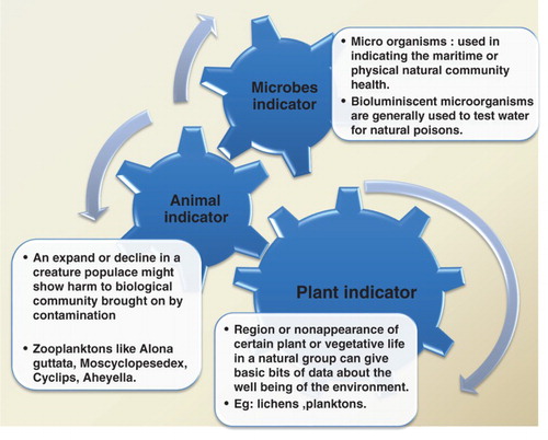 Figure 1. Types of Bioindicator.