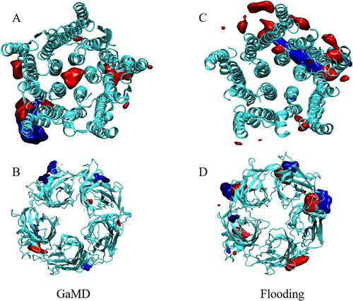 Figure 7. Regions of prolonged occupation by propofol (red) and fentanyl (blue) in the GLIC. (A and B) represent the TM and EC domains of the GLIC, respectively, from the GaMD simulations. (C and D) represent the TM and EC domains of the GLIC, respectively, from the cMD flooding simulations.