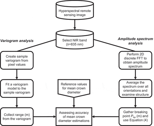 Figure 3. Flowchart of the used methodology. The same methods were also used for the simulated images.