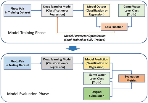 Figure 4. Schematic illustration of the steps used in model training and evaluation in this study. In the training stage, the model used photo pairs from the training dataset (80% of all photo pairs) as input, predicted the water-level class, calculated the loss function based on the true values, and updated the model parameters using different training strategies (semi-trained or fully-trained). In the evaluation stage, the trained model predicted the water-level class for the photo pairs from the test dataset (20% of all photo pairs), and the results were compared to the true water-level class (i.e. water-level class from the game) to calculate the evaluation metrics. These metrics were also calculated for the water-level class provided by the citizen scientist who uploaded the photo.