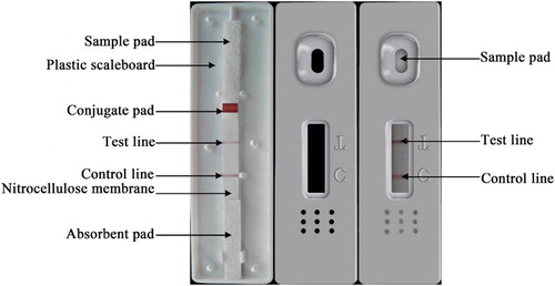 Figure 2. Schematic illustration of ICTS detection of AOZ.